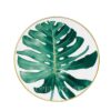 Hermes Passifolia Dinner plate Philodendron