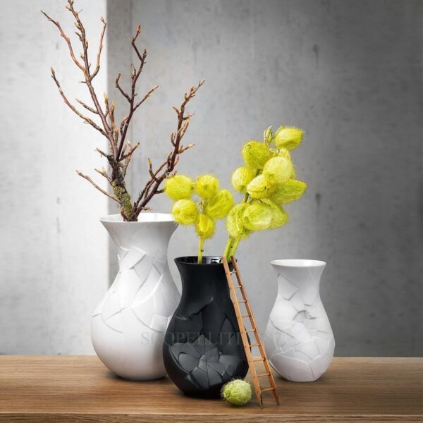 rosenthal studio-line of phases vases