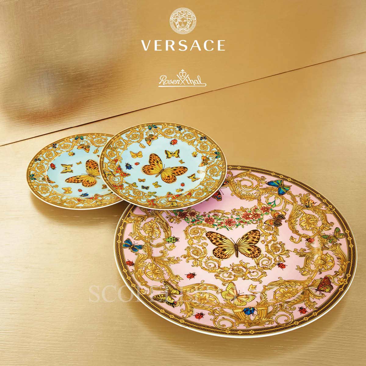 versace butterfly plates