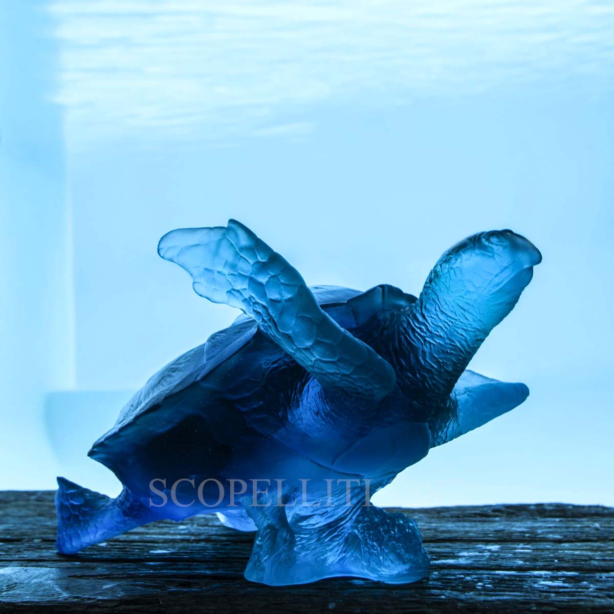 daum mer de corail turtle blue numbered edition