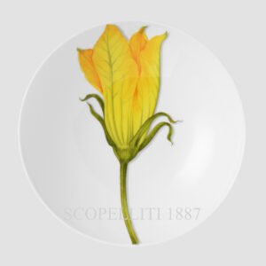 taitu freedom soup plate courgette flower