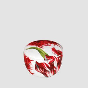 taitu small bowl with lid emotion red