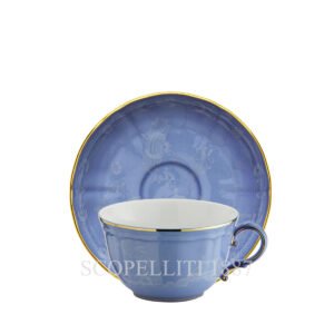 oriente pervinca tea cup with saucer