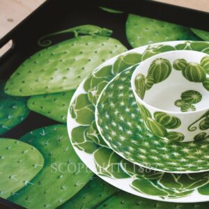 taitu cactus bowl square plate