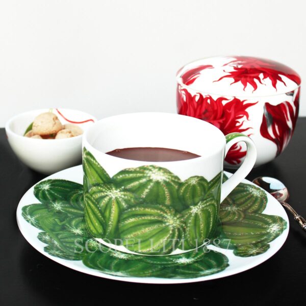 taitu cactus tea cup with saucer