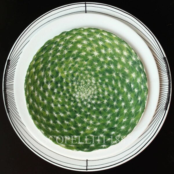 taitu dinner plate bianco e bianco cactus