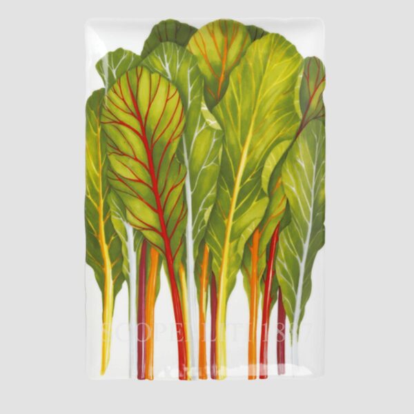 taitu rectangular platter 33x22cm vegetables herbs