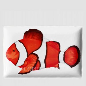 taitu rectangular platter fish clownfish set of 2