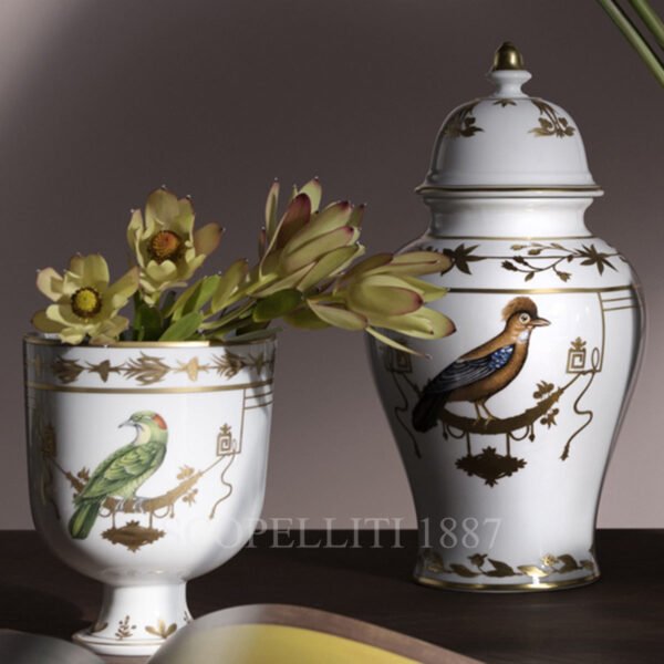 ginori 1735 voliere vase collection